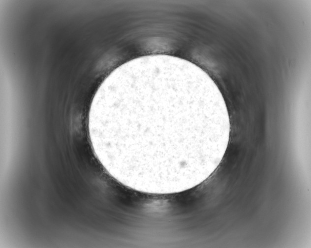 X0000086000162200704091044