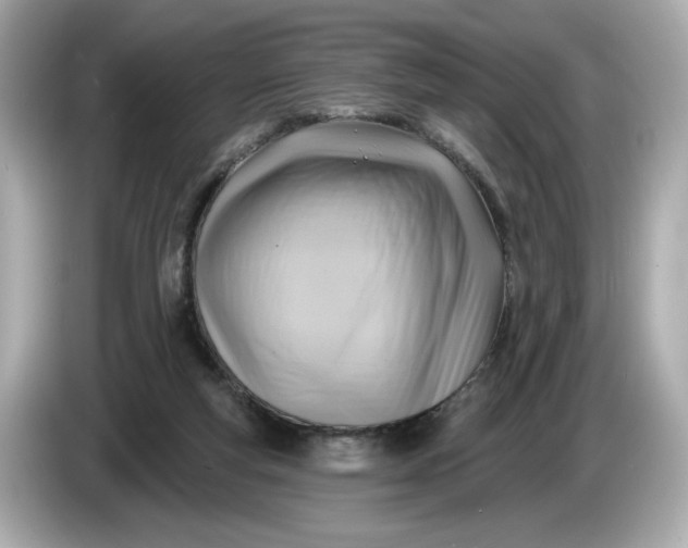 X0000086000163200704091044