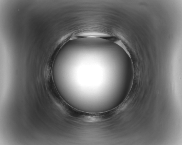 X0000086000164200704091044