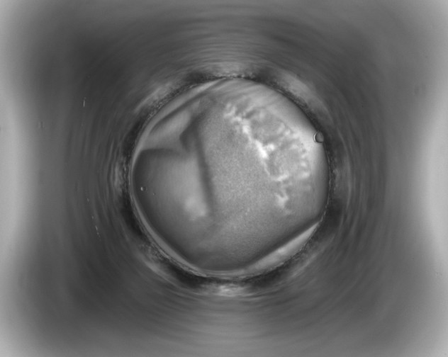 X0000086000165200704091044