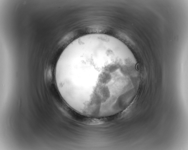 X0000086000166200704091044