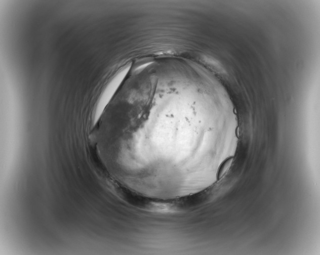 X0000086000167200704091044