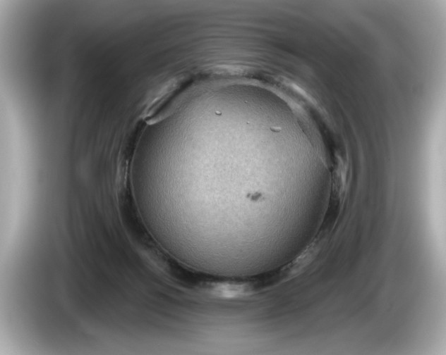 X0000086000168200704091044