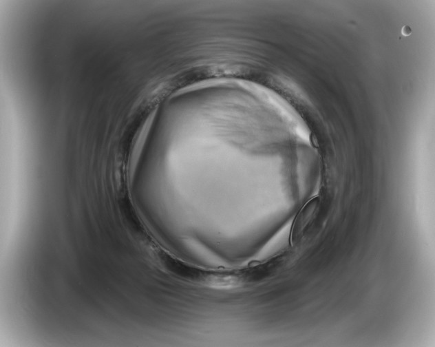 X0000086000169200704091044