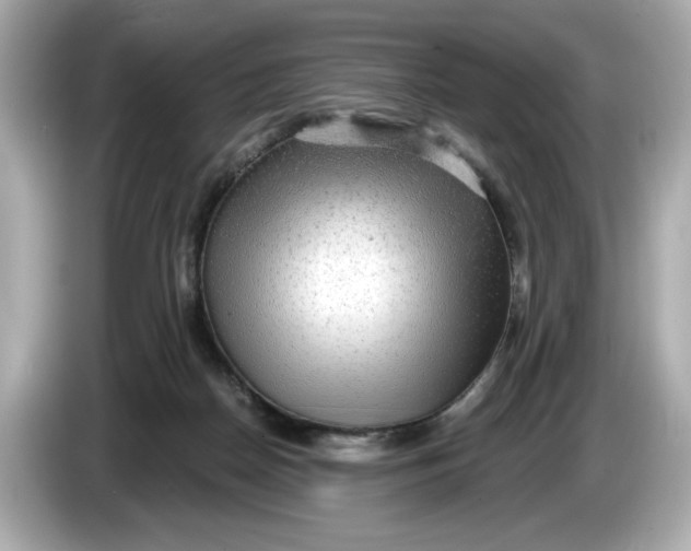 X0000086000170200704091044