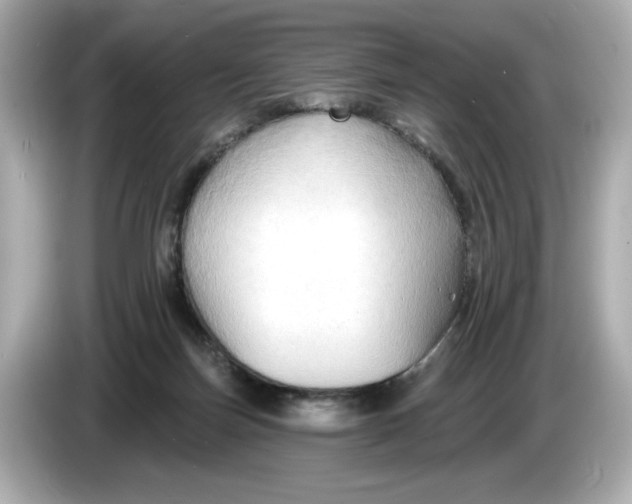 X0000086000171200704091044