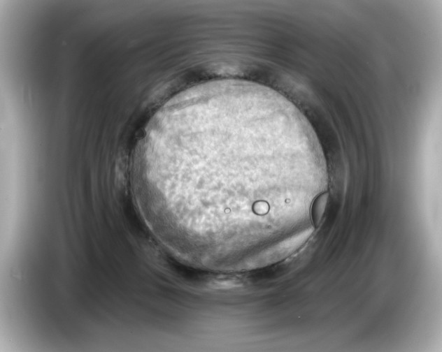 X0000086000175200704091044