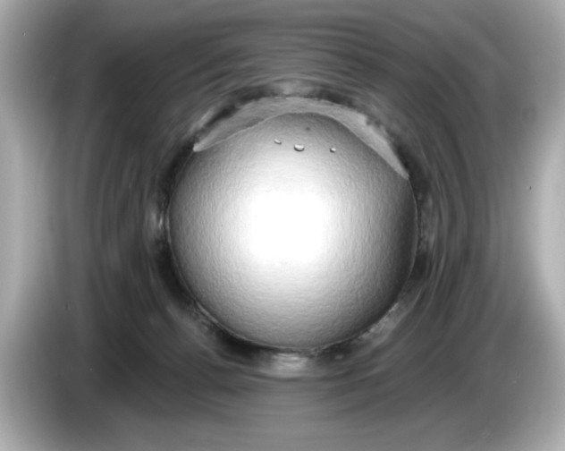 X0000086000176200704091044