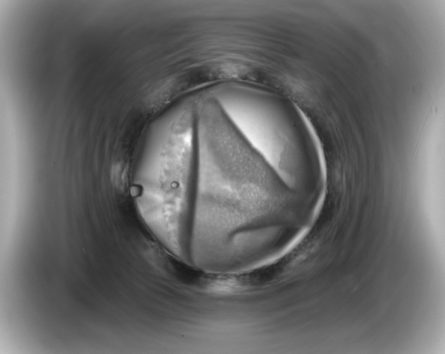 X0000086000177200704091044