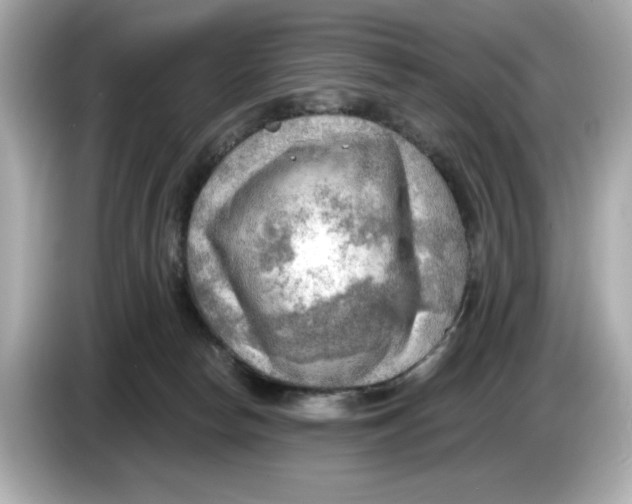 X0000086000178200704091044