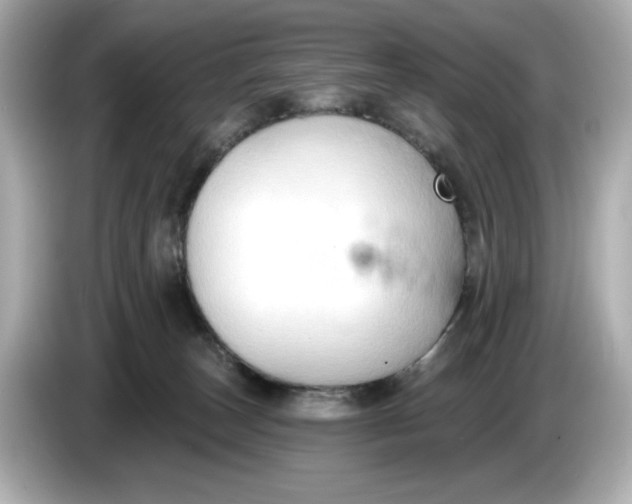 X0000086000179200704091044