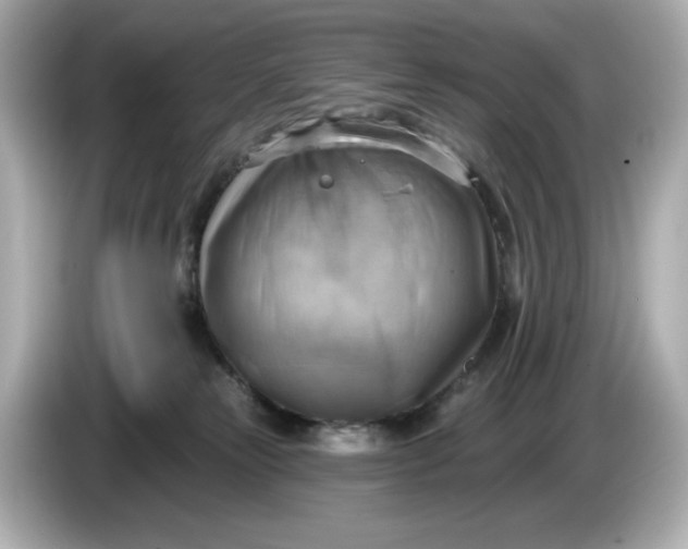 X0000086000181200704091044