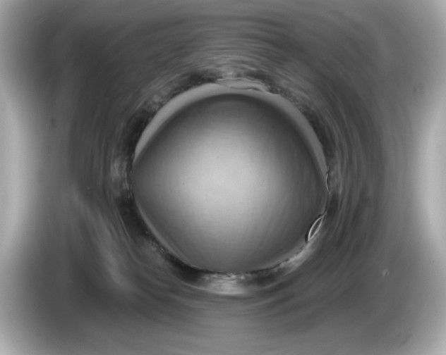 X0000086000182200704091044