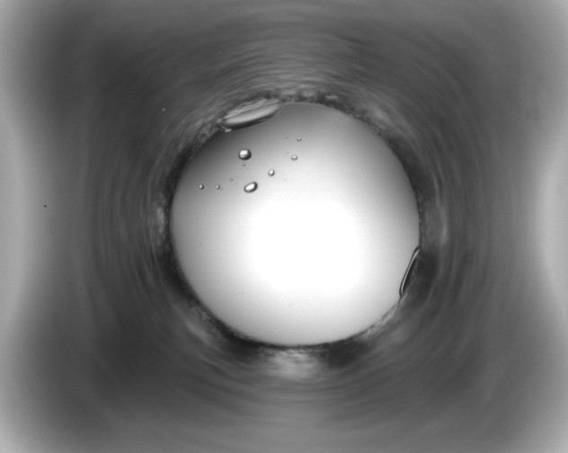 X0000086000183200704091044