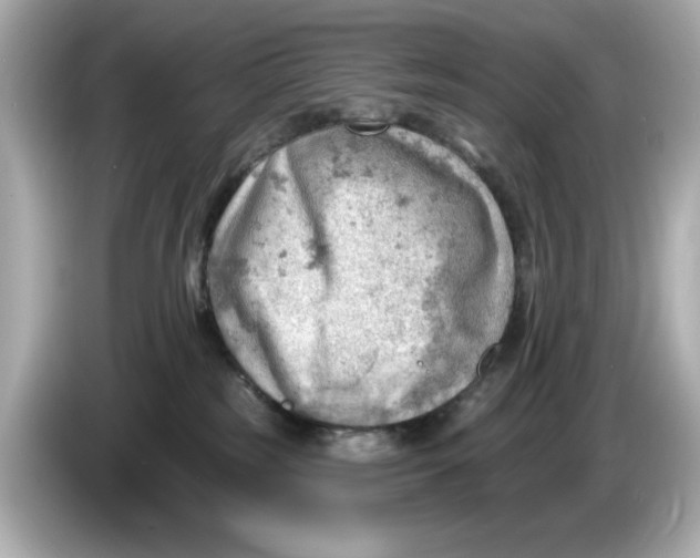 X0000086000185200704091044