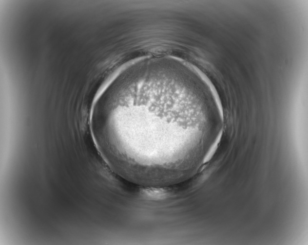 X0000086000189200704091044