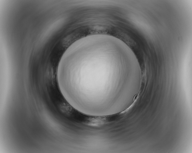 X0000086000191200704091044