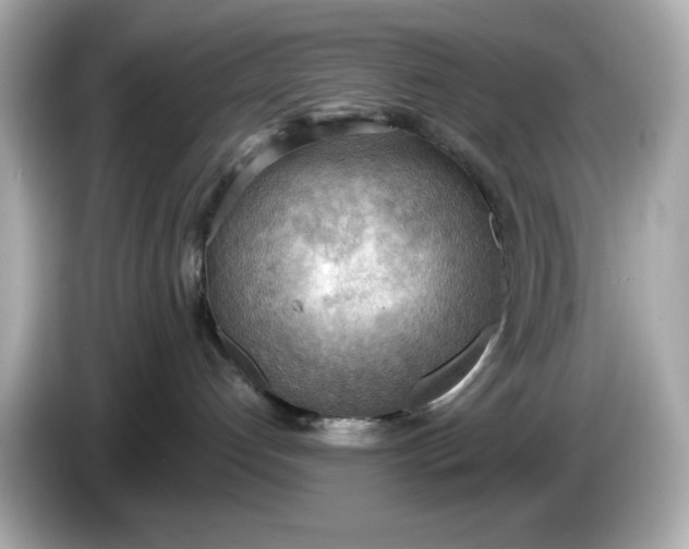 X0000086000192200704091044