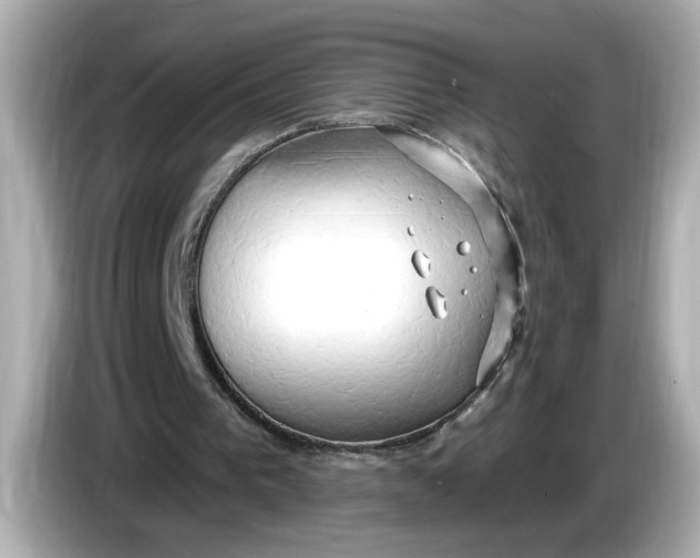 X0000086000193200704091044