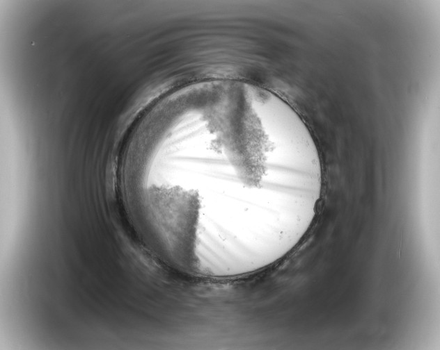 X0000086000194200704091043