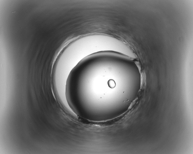 X0000086000195200704091043