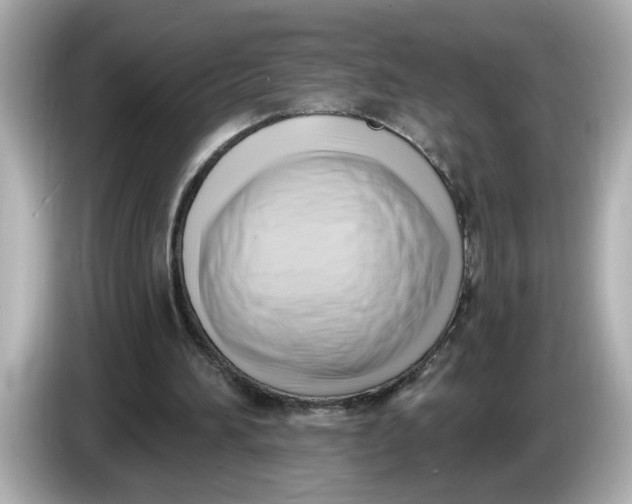 X0000086000196200704091043