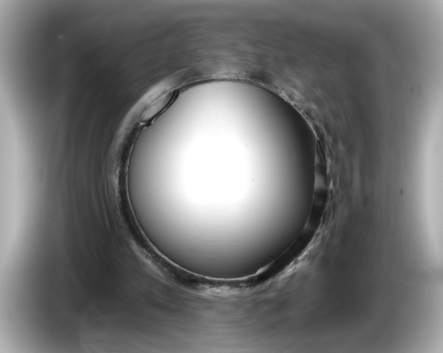 X0000086000197200704091043