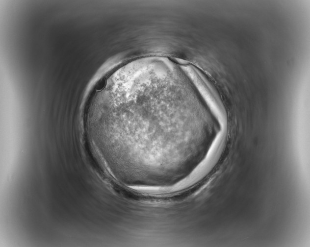 X0000086000198200704091043