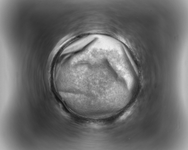 X0000086000199200704091043