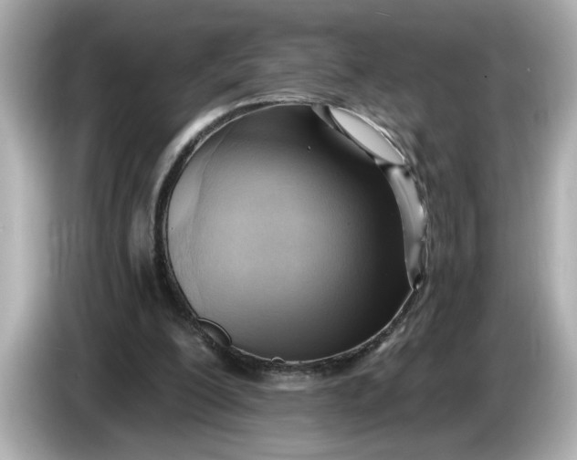 X0000086000200200704091043