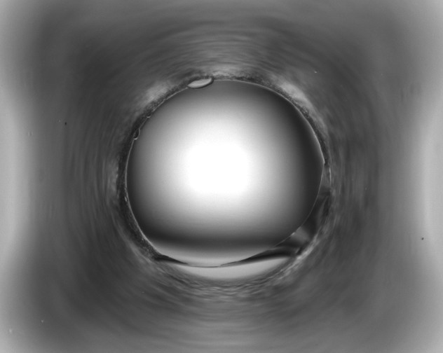 X0000086000201200704091043