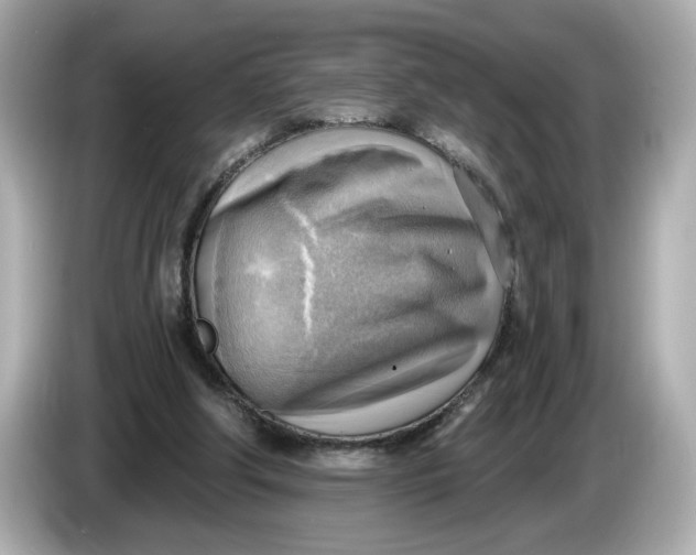 X0000086000202200704091043