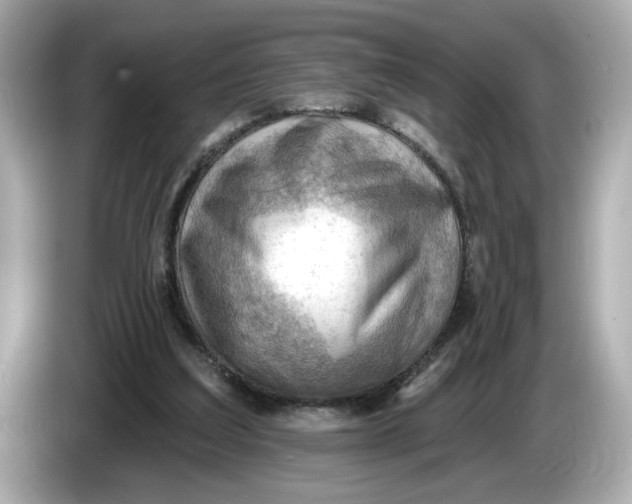 X0000086000203200704091043