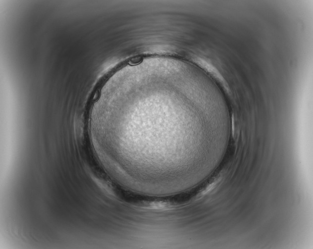 X0000086000204200704091043