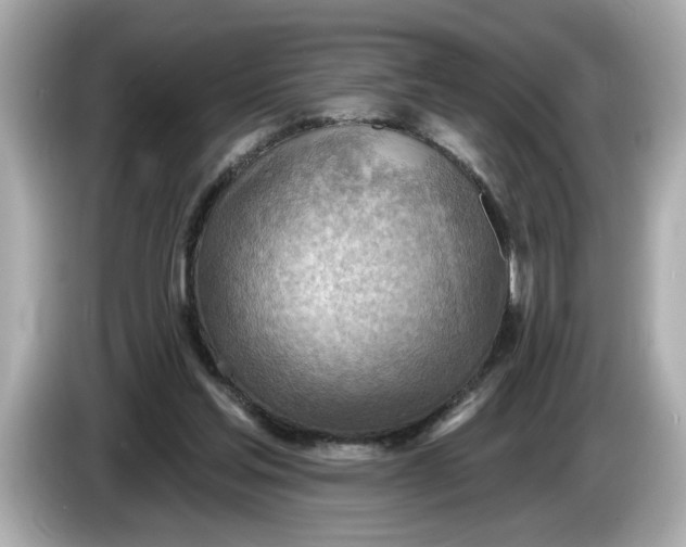 X0000086000205200704091043