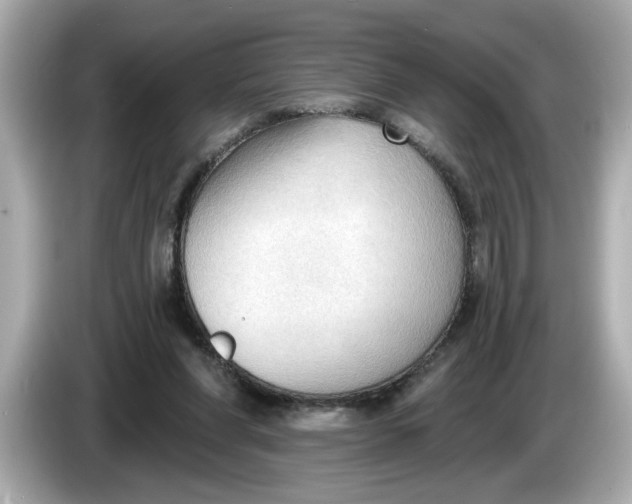 X0000086000206200704091043