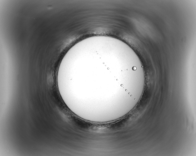 X0000086000208200704091043