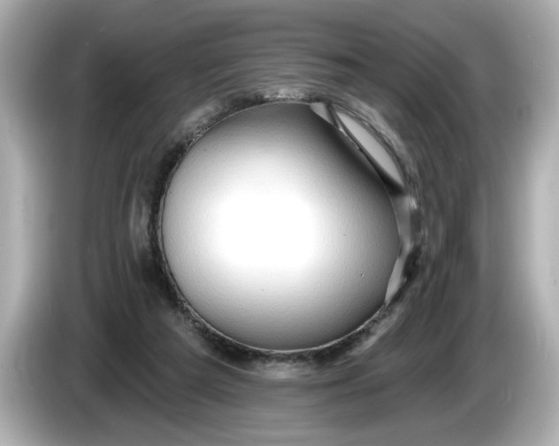 X0000086000209200704091043