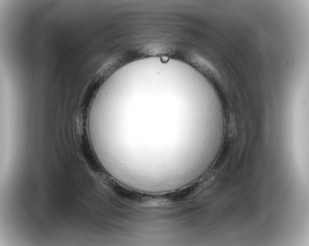 X0000086000210200704091043