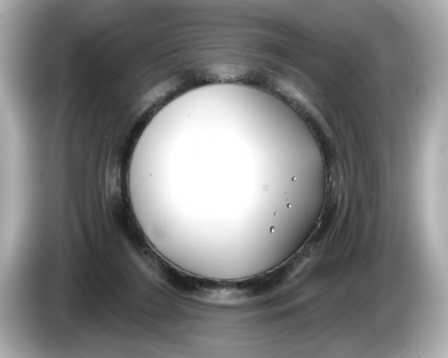 X0000086000212200704091043