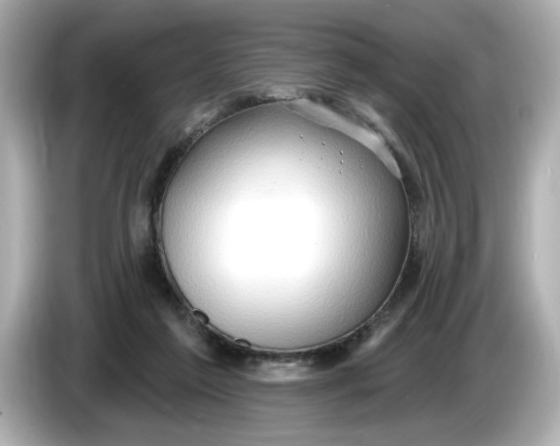 X0000086000213200704091043