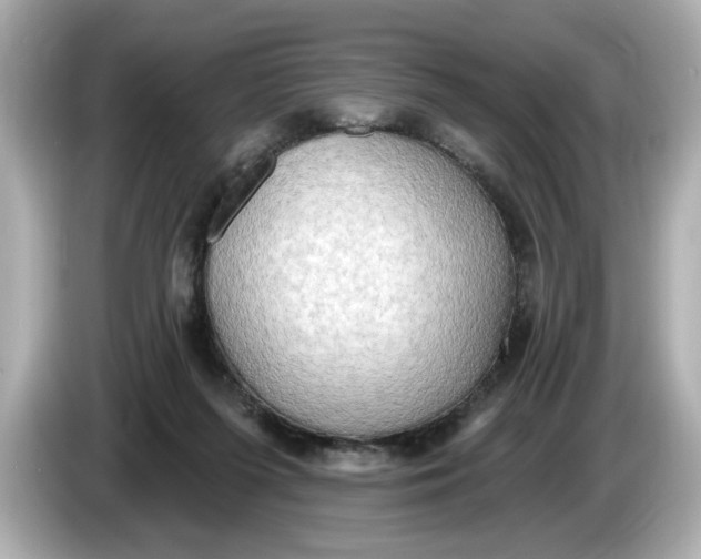 X0000086000215200704091043