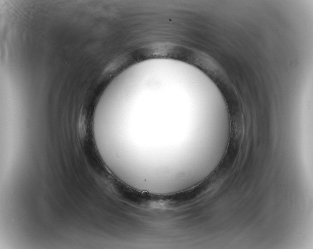 X0000086000216200704091043