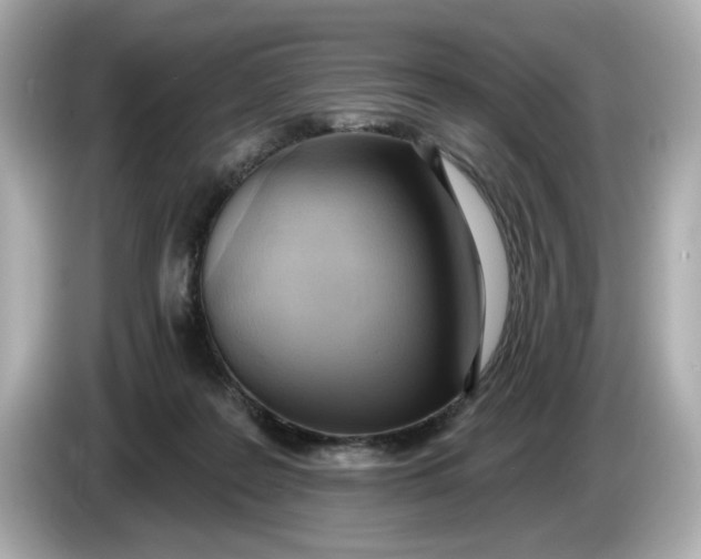 X0000086000219200704091043