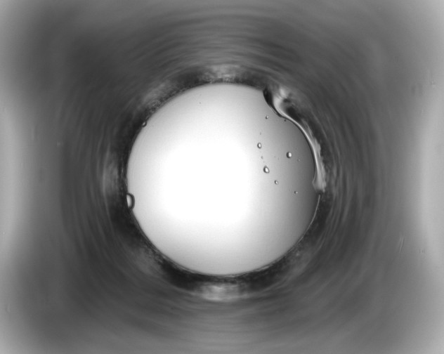 X0000086000220200704091043