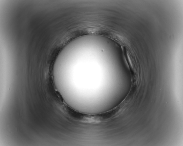 X0000086000221200704091043