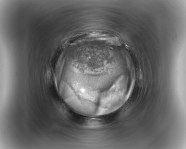 X0000086000222200704091043