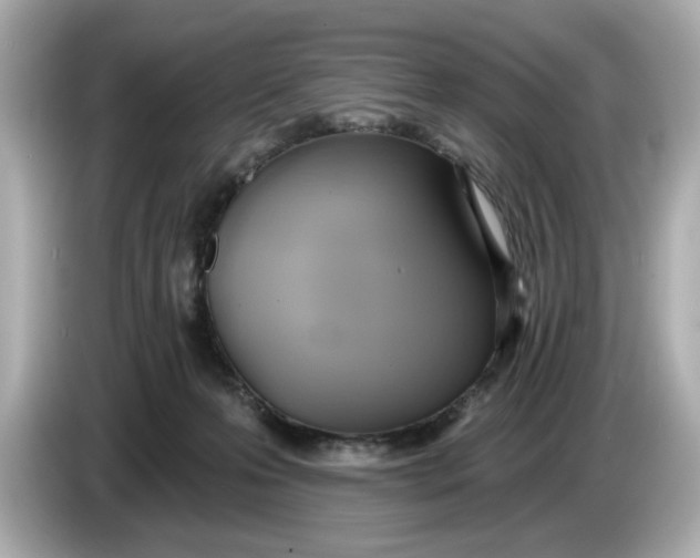 X0000086000223200704091043