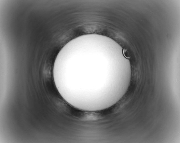 X0000086000226200704091043