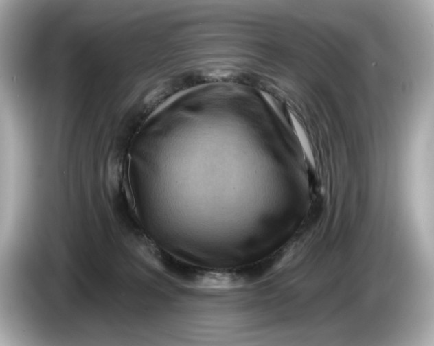 X0000086000227200704091043